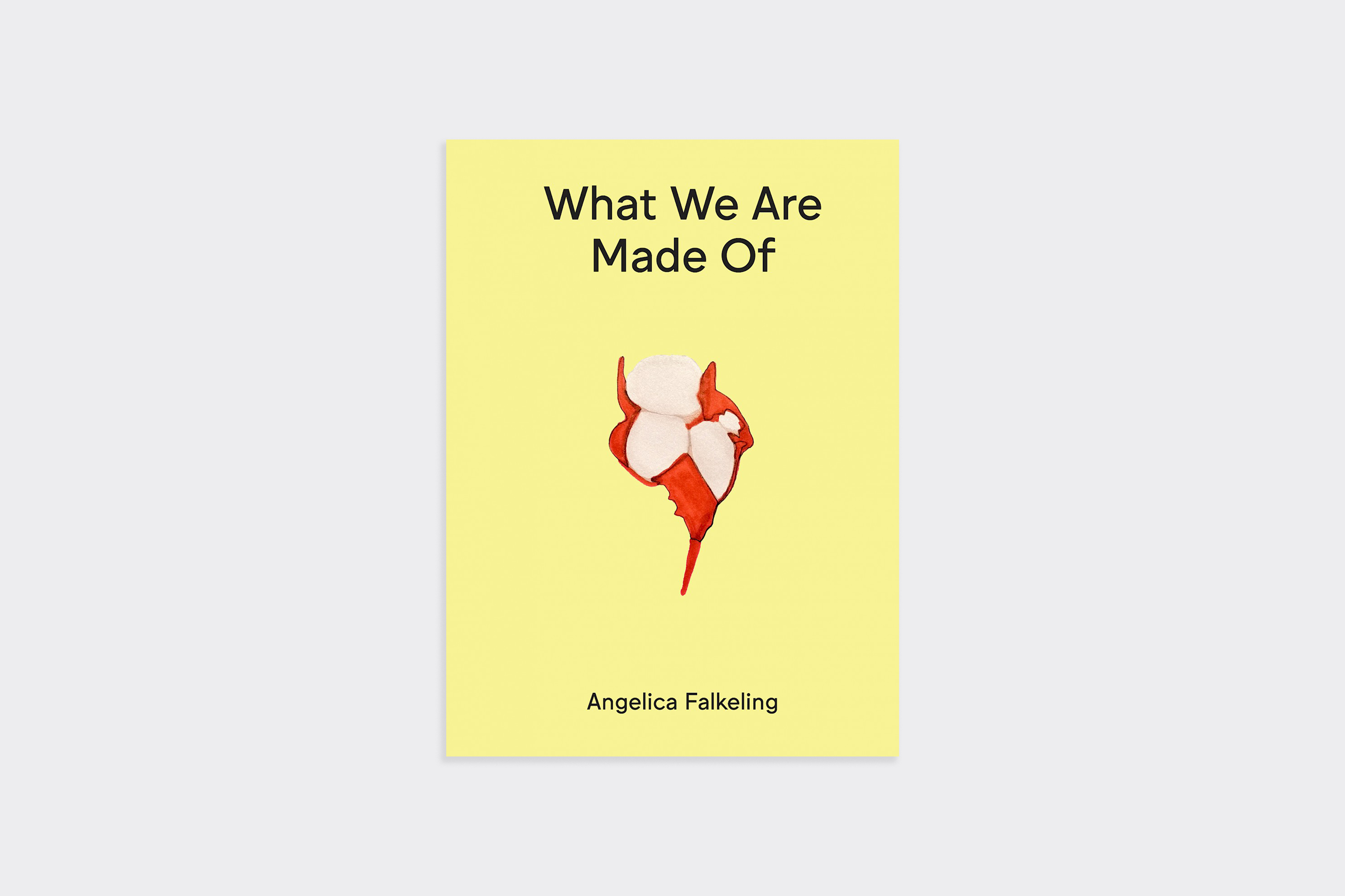 What We Are Made Of