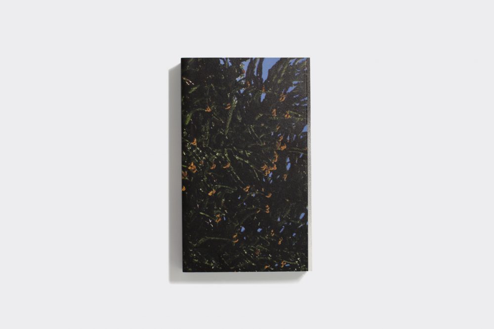 GHOST:2561 STORYTELLERS BEFORE DAWN