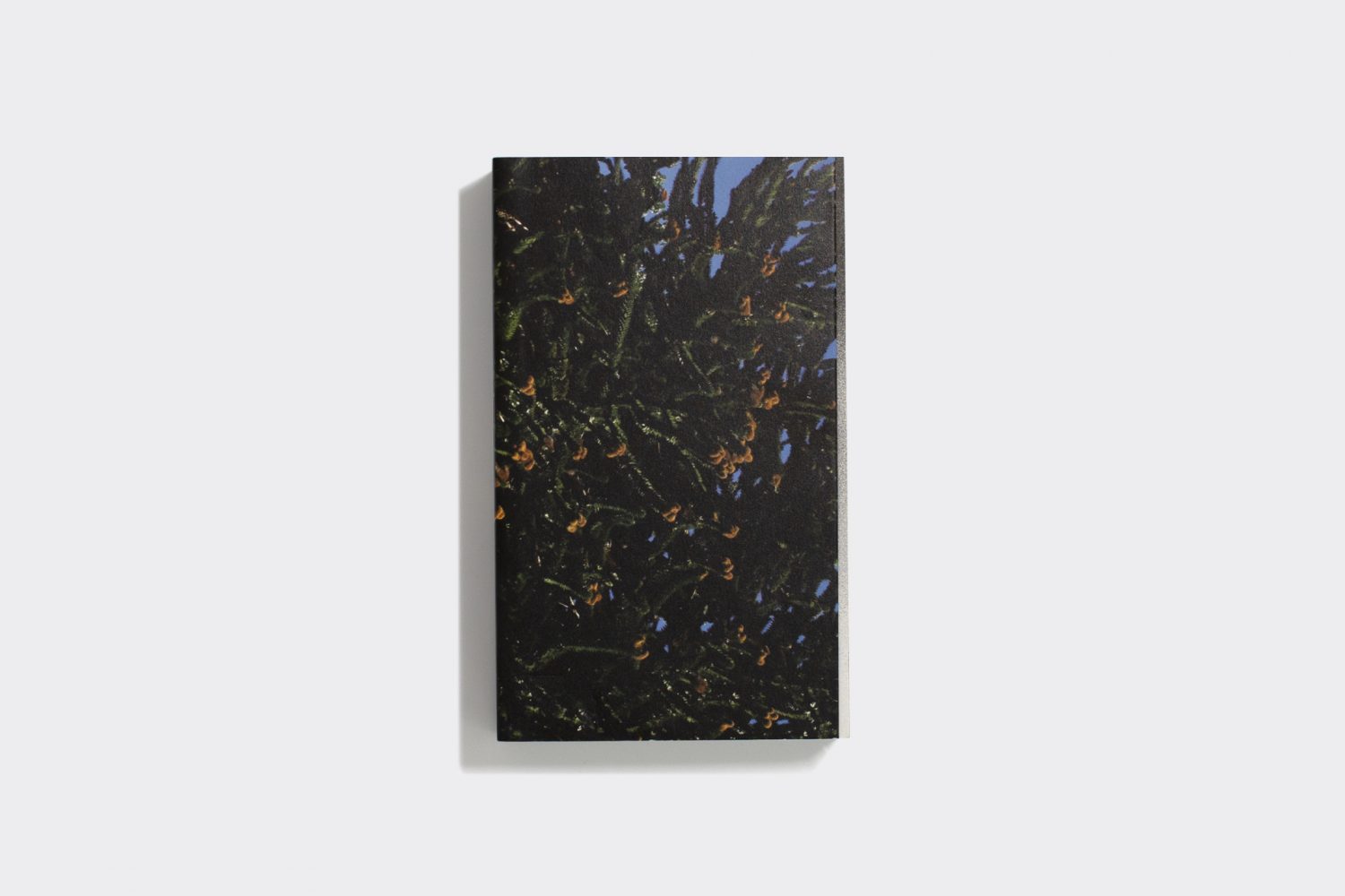 GHOST:2561 STORYTELLERS BEFORE DAWN